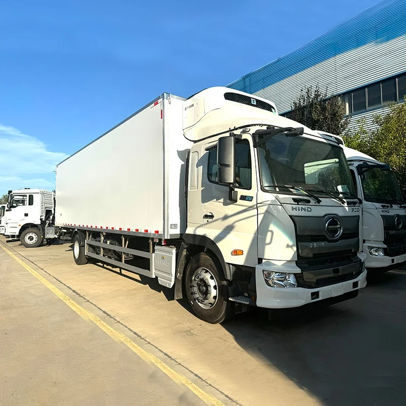 Japan Hino Refrigerator Truck Customized 20 Ton Freezer