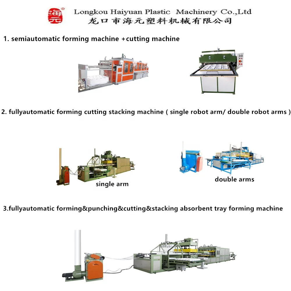 PLA PS EPE XPS Disposable Foam Sheet  Food Lunch Box Production Machine