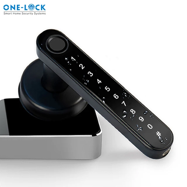 TTLOCK Single Handle Apartment Smart Fingerprint Lock