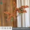 3-forked autumn fruit ZLZ orange