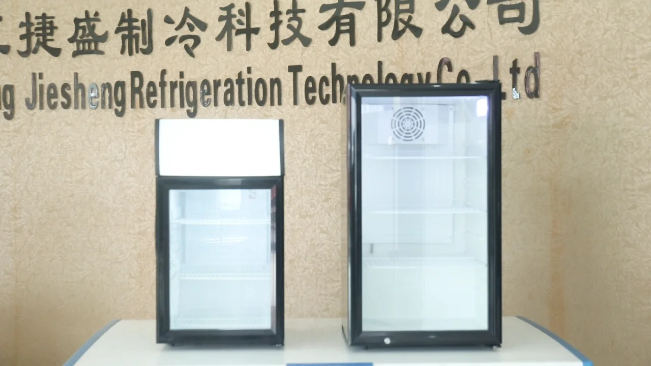 Mini Beverage Fridge Display Cooler Back Bar Beer Bottle Showcase