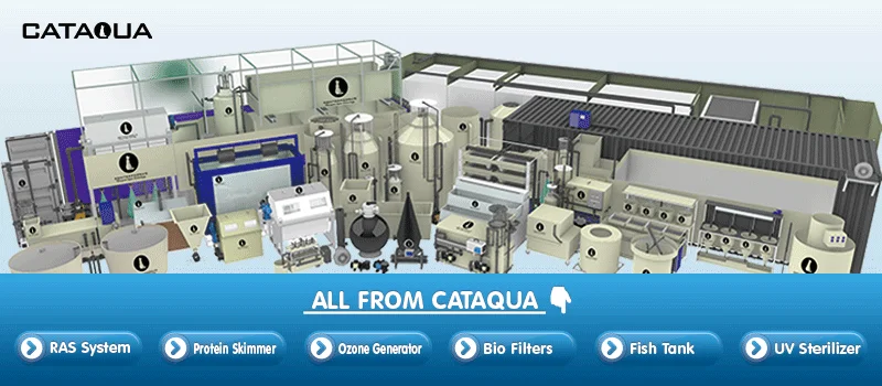 Essential Ras Filter 100m3 RAS Filter - Efficient Aquatic Solutions for Fish Farms