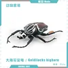 colorful PL127-2800 Large Horned Flower Golden