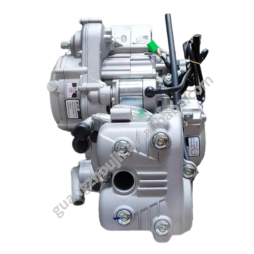 専用ロエン Zongshen NC300 Water-Cooled Engine for Yamaha & Kawasaki