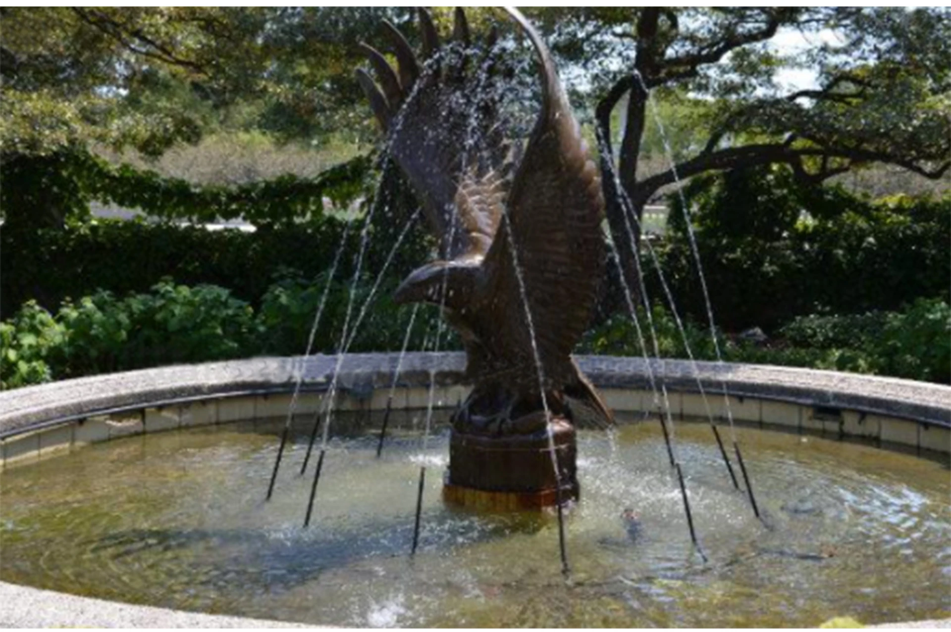 Best selling large outdoor cast bronze eagle fountain eagle statue large  metal eagle sculpture