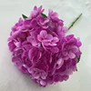 Viola intenso