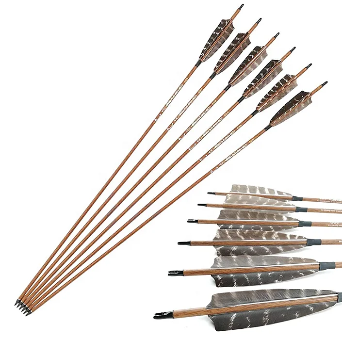 US 12PK 30 Inch Archery Hunting Carbon Target Arrows Compound/Recurve Longbow 