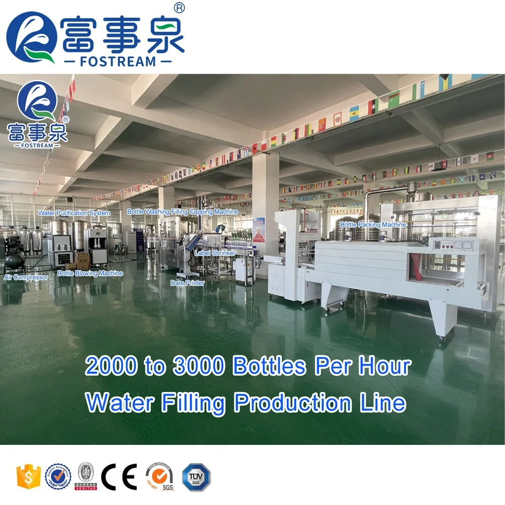 China Manufacturer Price Full Automatic Filling Plant Equipment Mini Small Scale Pure Drinking Mineral Water Bottling Machine
