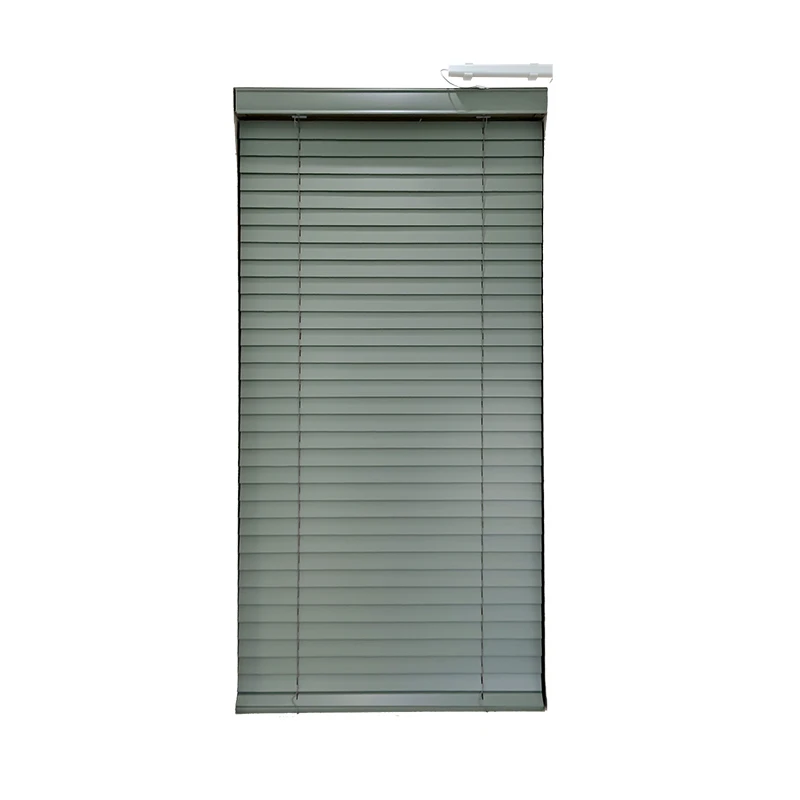 Everyday Use Motorized PVC Blinds Electric Control Waterproof for Bathroom & Kitchen Built-in Installation Plain Technique