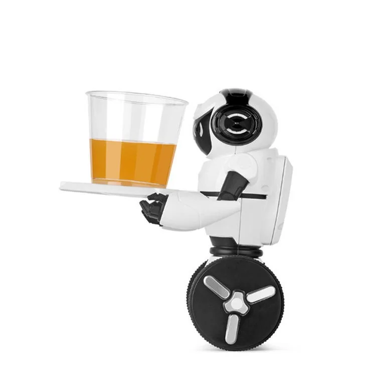 Flytec RC Smart Robot  0.3MP Camera Wifi FPV APP Control Intelligent G-sensor Smart Robot Super Carrier RC Toy Gift Juguetes