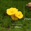 No. 15 Funnel-shaped fungus