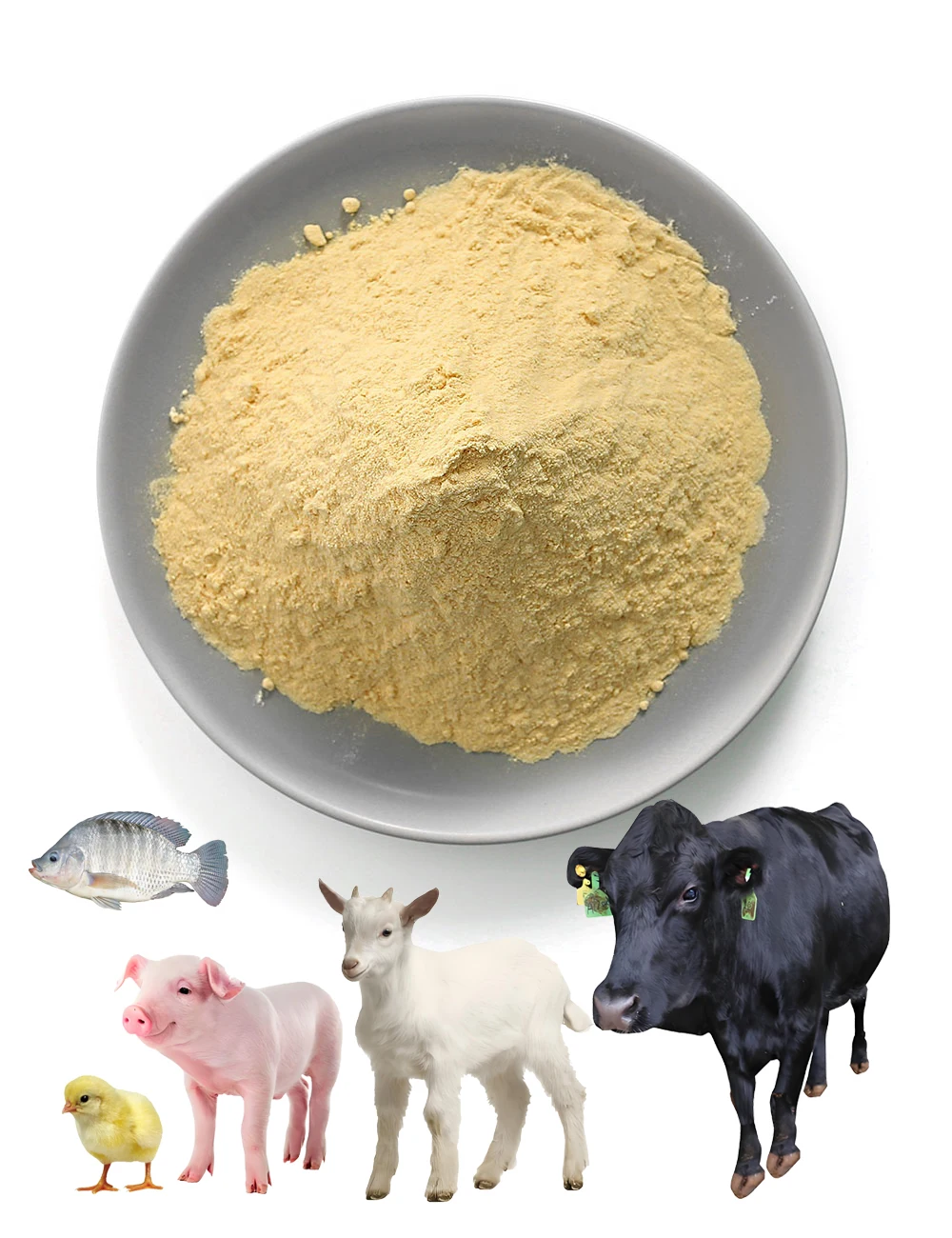 Factory Customize Brand Active Brewers Animal Feed Dry Yeast Powder Wholesale for Poultry Farming Fish Cattle Sheep Chicken Feed