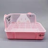 Pink toilet