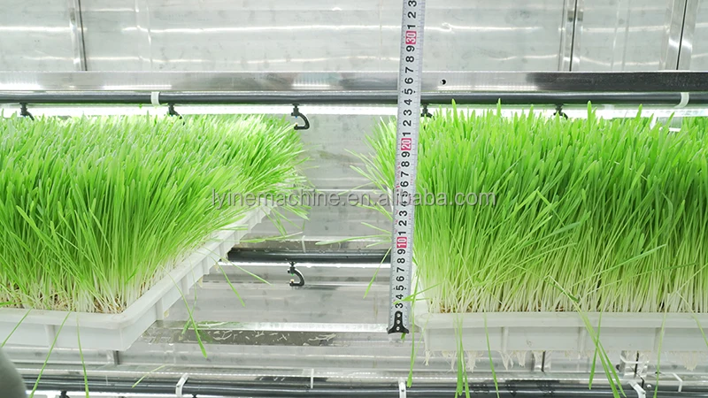 Container Farm Plant Factory Hydroponic Vertical Agricultural Greenhouses Intelligent Control System Fodder Lettuce