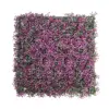 Purple peanuts