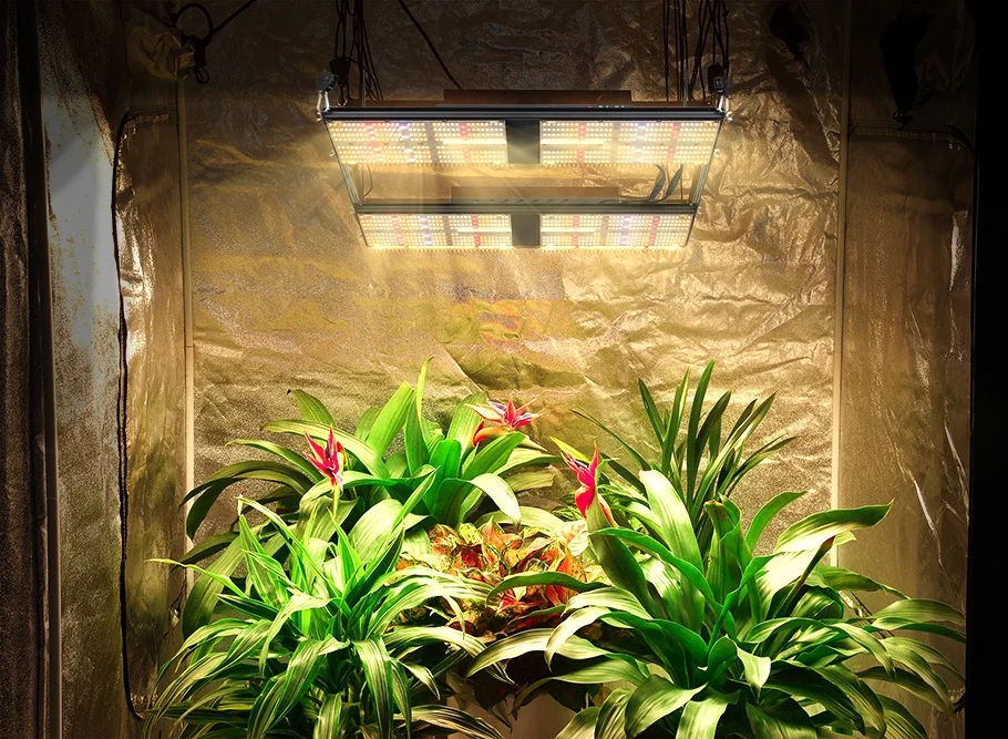 Bavagreen Adjustable Spectrum Dimmable 480W LED Grow Light Newest Commercial Professional 600w Full Spectrum Grow LED Light