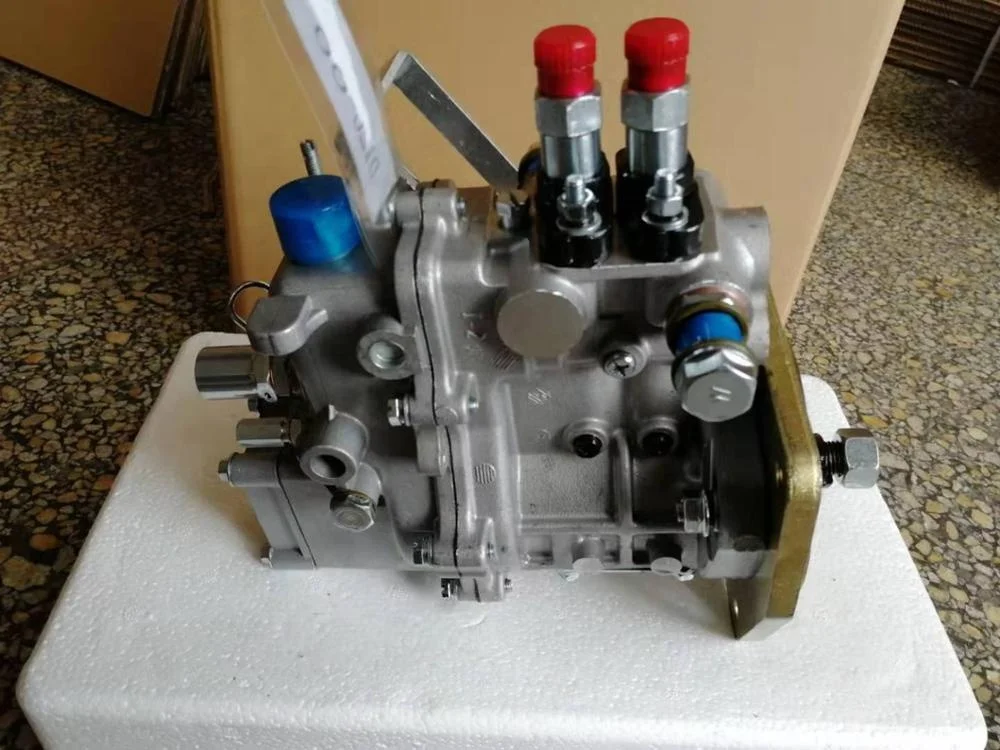 Kangda Orginal 2 Cylinder Fuel Injection Pump 2QT22 BH2QT90R9