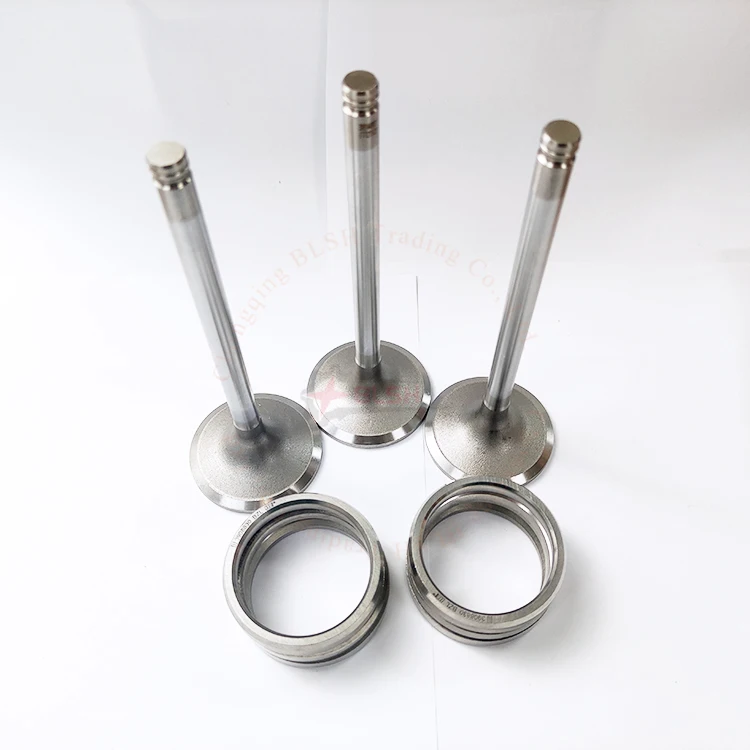 BLSH Customized Various Intake Valves Exhaust Valves for MAN16/24 YANMAR S165L M200L N18 N330