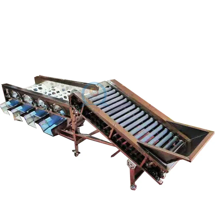 Fully Automatic mango Date Cherry Vegetable Fruit Olive Garlic Size Grading Sorting Machine for Fruit and Table