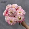 Rose pâle