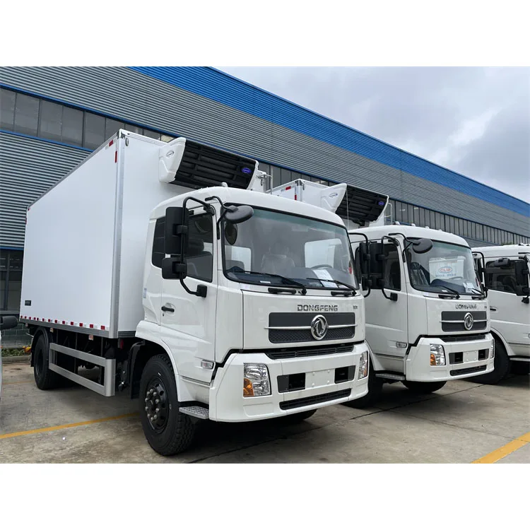 DONGFENG KR 4x2 12 Tons Frozen Food Transport Refrigerated Truck for Sale in Congo