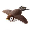 Brown Sparrow