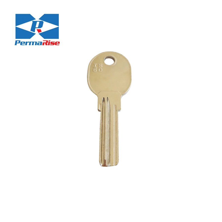 Smart Antitheft Lock Motorcycle Key Blank for Universal House Key Blank Key Everleo