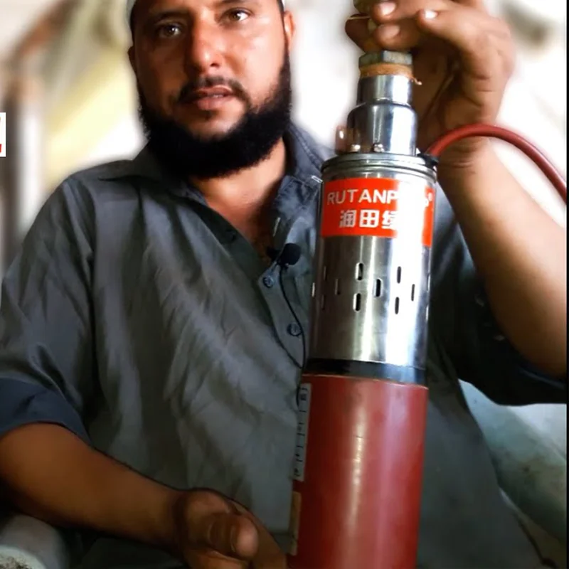 RUTANPUMP винтовая щетка Солнечный водяной насос 12 В 24 в 32 в солнечные водяные насосы Солнечный водяной насос для сельскохозяйственного орошения