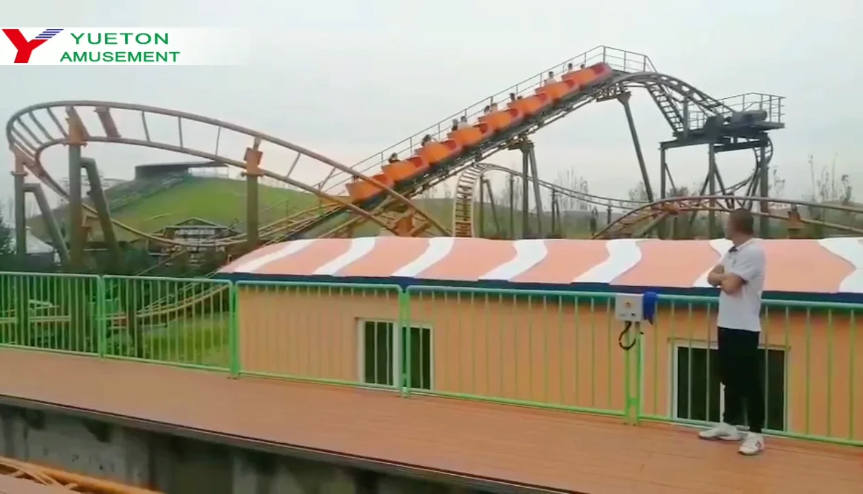 New Arrived Amusement Theme Park Roller Coaster Buy Cheap Roller