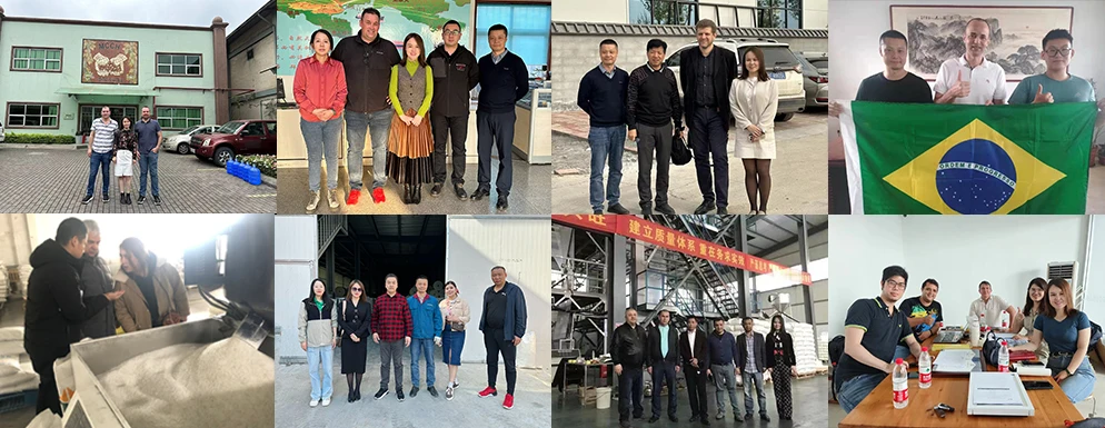 Flexitank Bag Flexitank Bag per il trasporto di liquidi 17