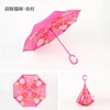 Chat porte-bonheur-rose rouge