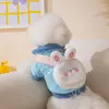 Blue Bunny