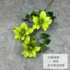 Clematis 3d-verde