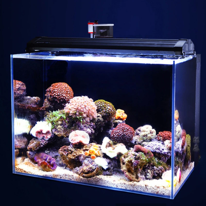Wholesale Marine Aquarium Desktop Ultra White Glass Saltwater Aquarium Fish  Tank With Filter and Skimmer