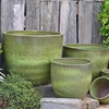 Selva Verde
