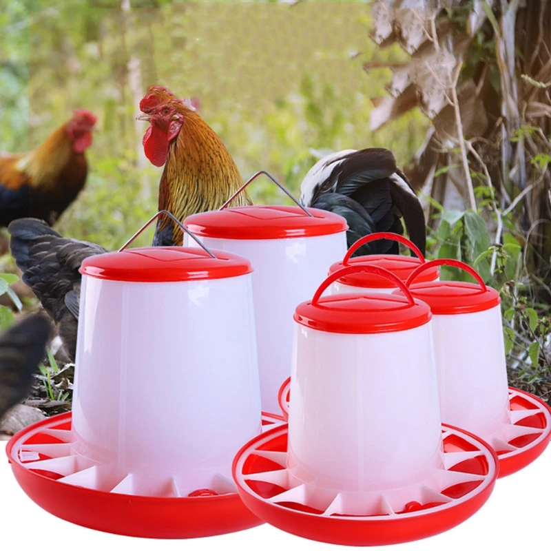 chicken feeder-23.jpg