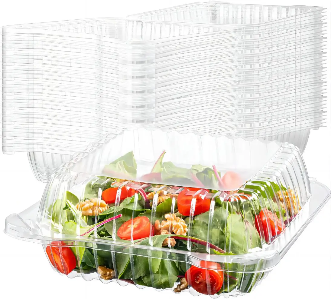 Fine Quality Hinged Lid Cookie Dessert Salad Fruit Storage Disposable ...