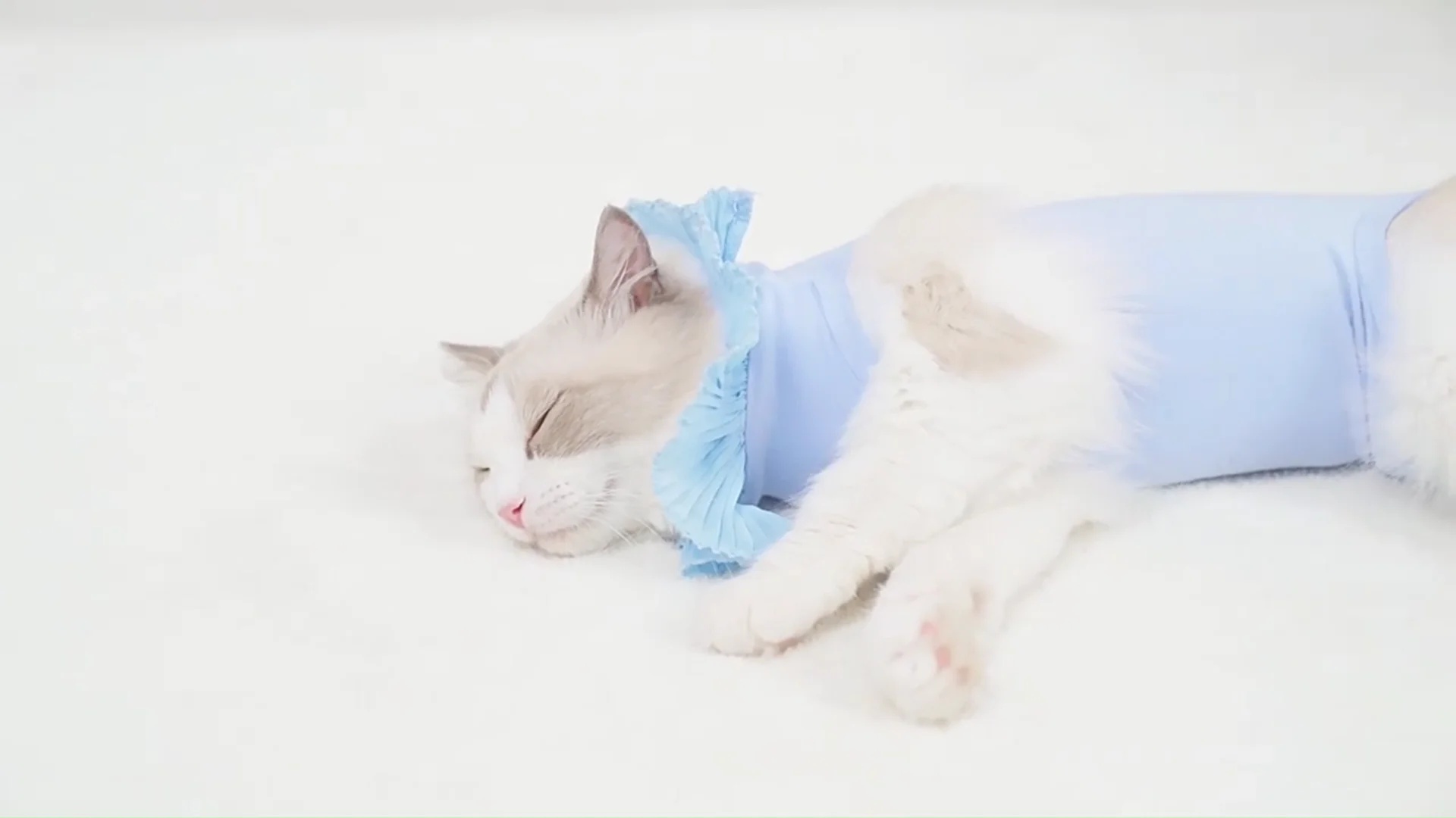pet-postoperative-soft-four-feet-surgical-gown-anti-lick-weaning