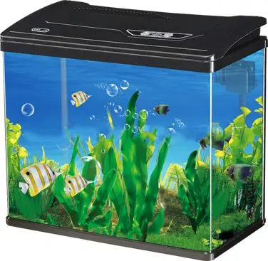 Mini Magical Square Coffee Table Aquarium Tank Eco-Friendly Fish Glass Design