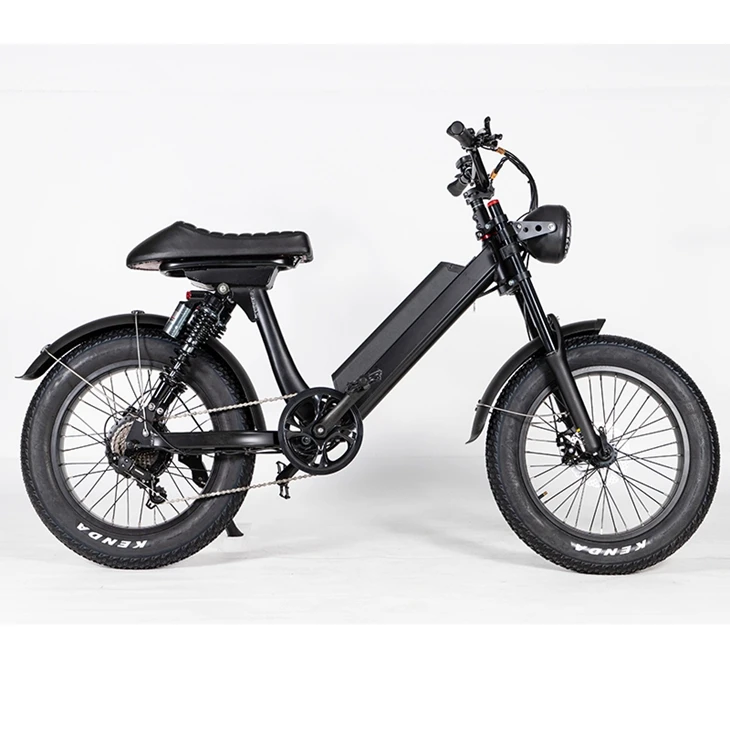 Купить двухместный электровелосипед. Электровелосипед двухместный. Электрический велосипед двухместный. Электробайк двухместный.