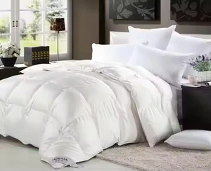 Luxury Hotel Healthy Comfortable White All-season Duvet Quilt Insert Goose Down Duvet Quilt