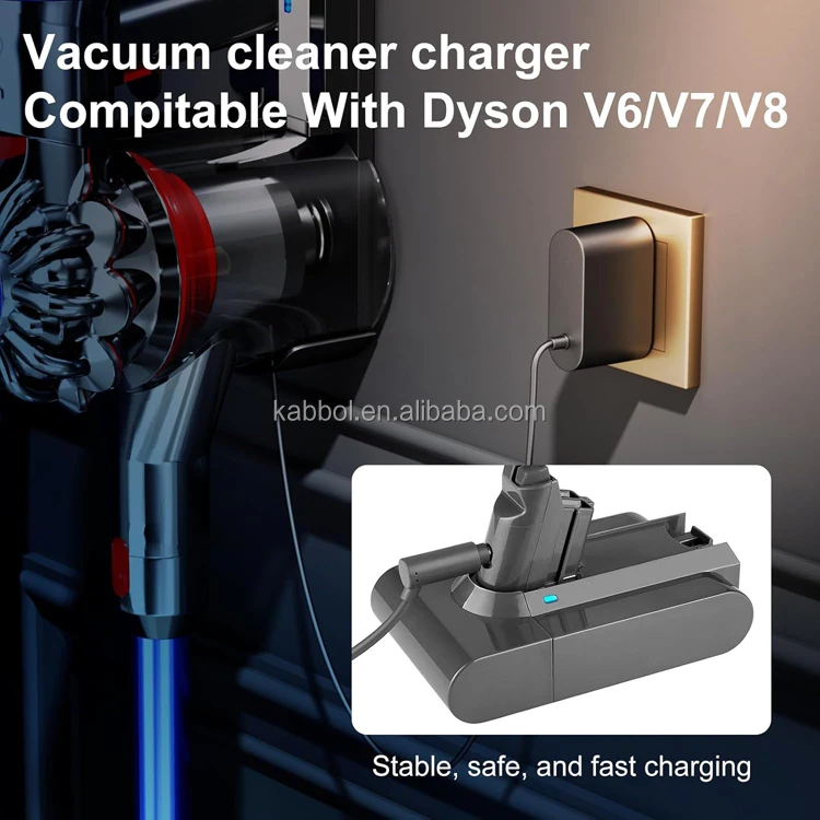 V6 charger.jpg