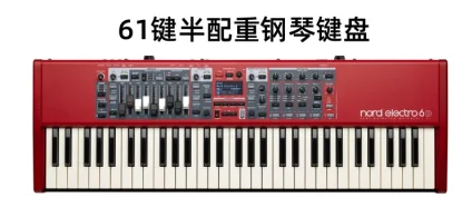 NORD Electro 6D 61-Key Synthesizer for Stage Performance - Digital