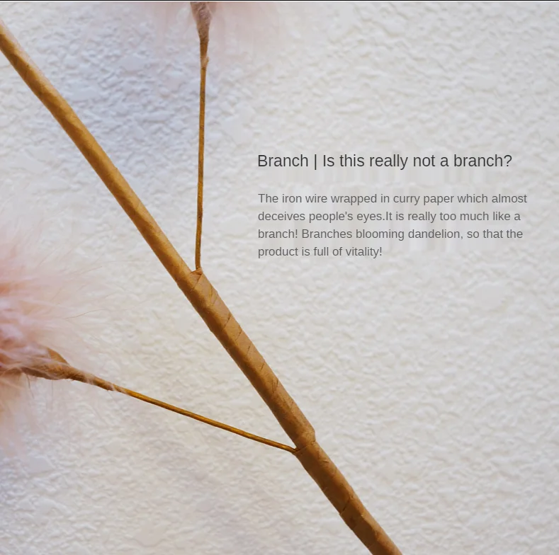 Cat teaser stick detail