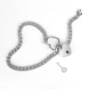 Chain with Lock