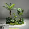 Paquete de plantas verdes de cocotero, 14 unidades.