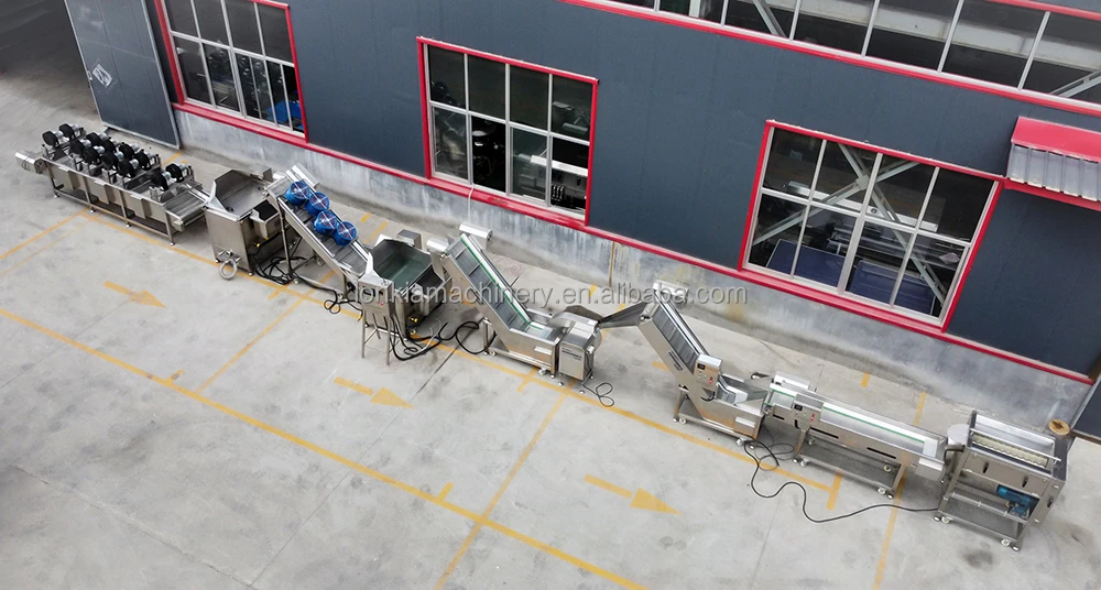 Frozen French Fries Production Line supplier