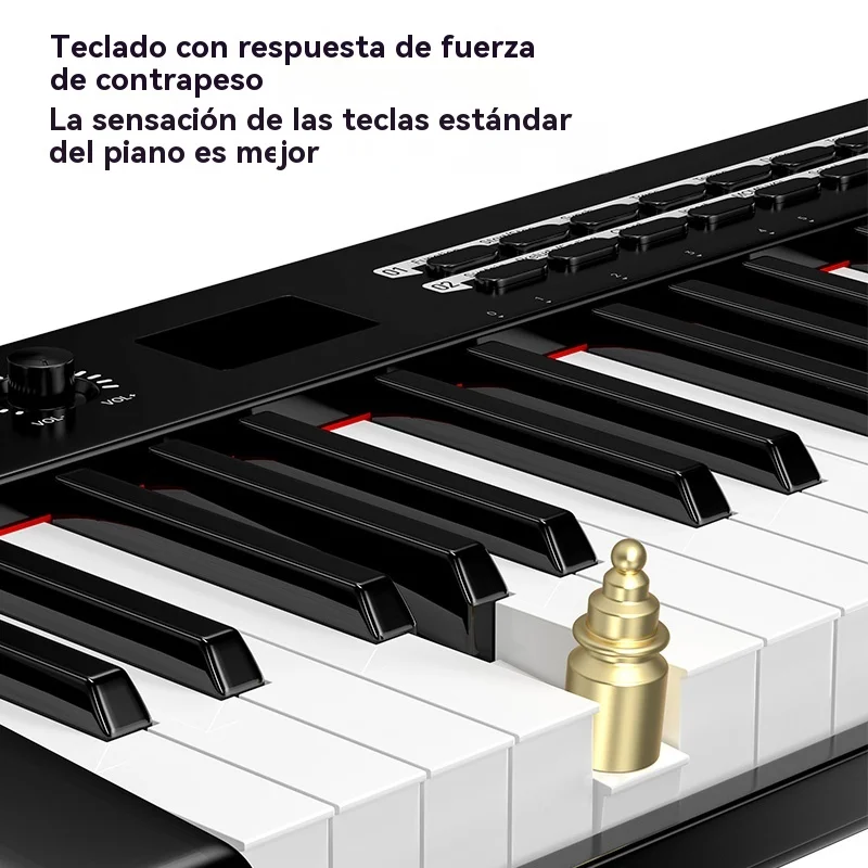 TERENCE TS-02 Portable Digital Piano Electric Keyboard, 61-Keys
