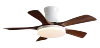 Nuez Blanca