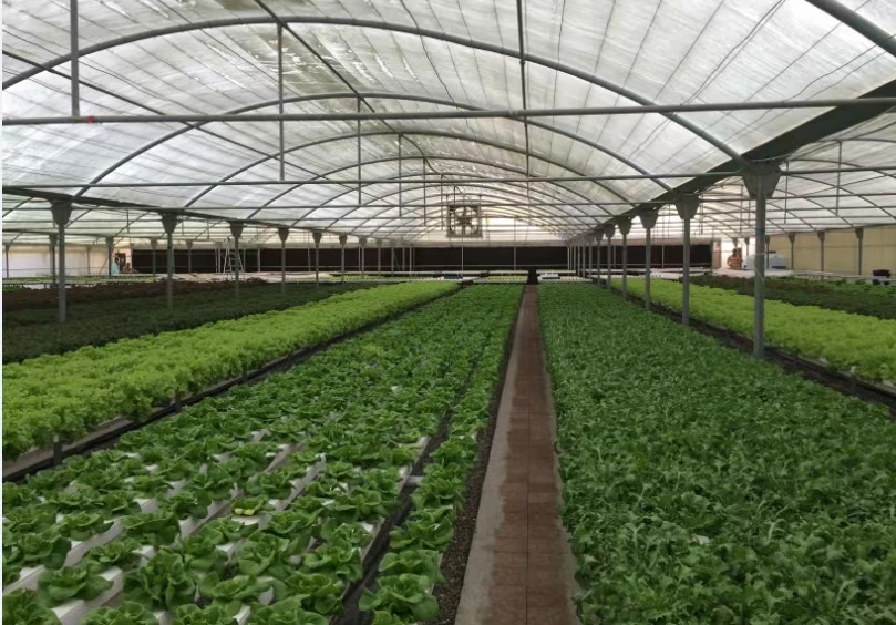 Greenhouse